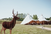 Thumbnail image 1 from Deer Farm Tipi Weddings