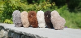 Thumbnail image 1 from Wreay Syke Alpacas