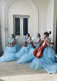 Thumbnail image 2 from Jessie Wedding Violin