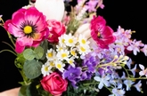 Thumbnail image 2 from Daisies & Ribbons Flowers and Events